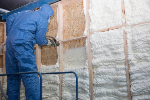 Best Radiant Barrier Insulation  in Doylestown, OH